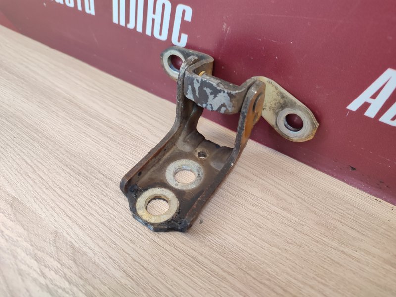 Петля     двери