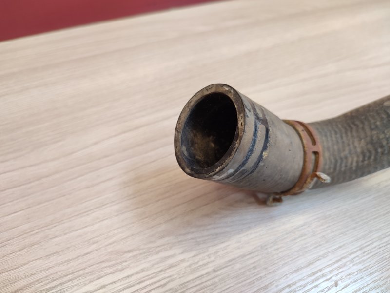 Патрубок радиатора нижний