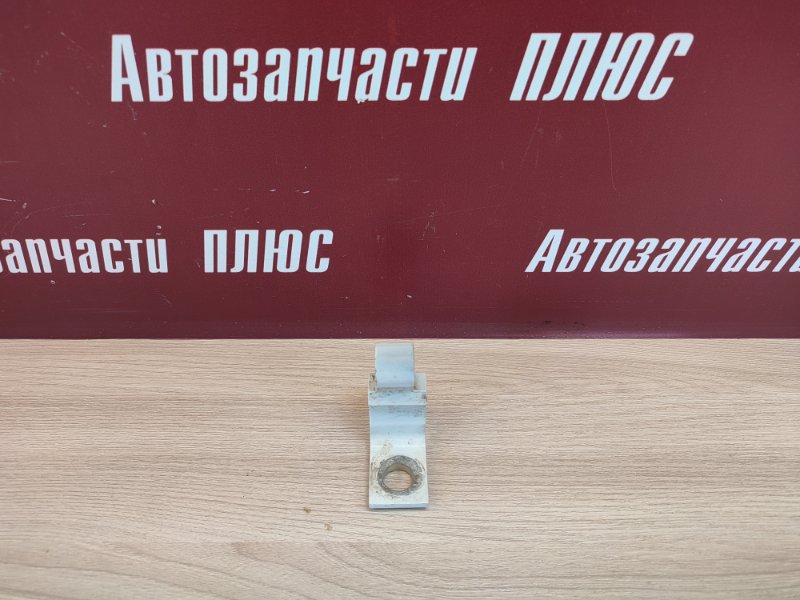 Петля двери