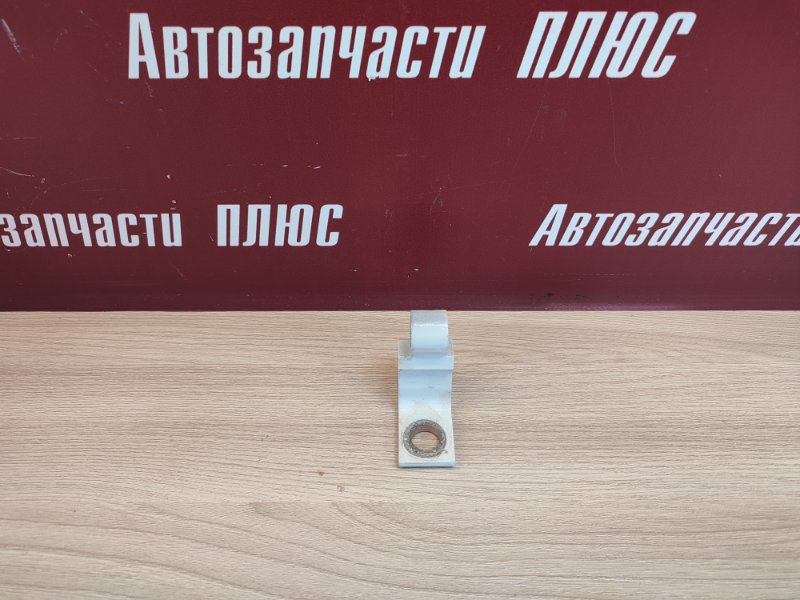 Петля двери