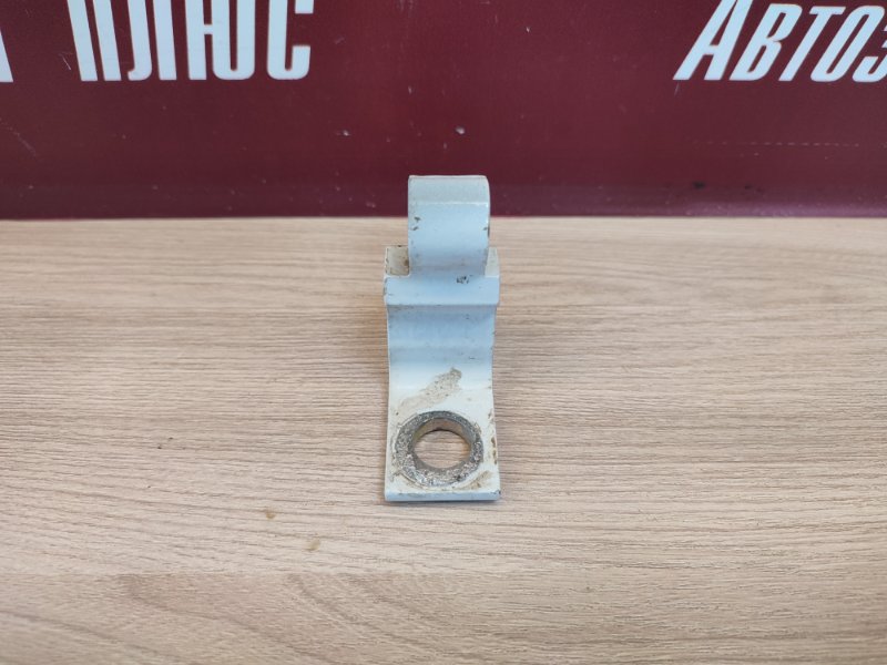 Петля двери