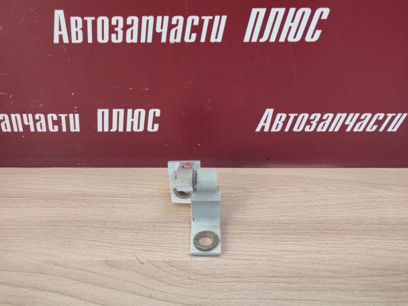 Петля двери