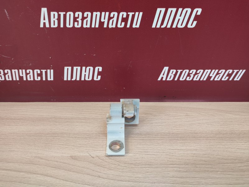 Петля двери