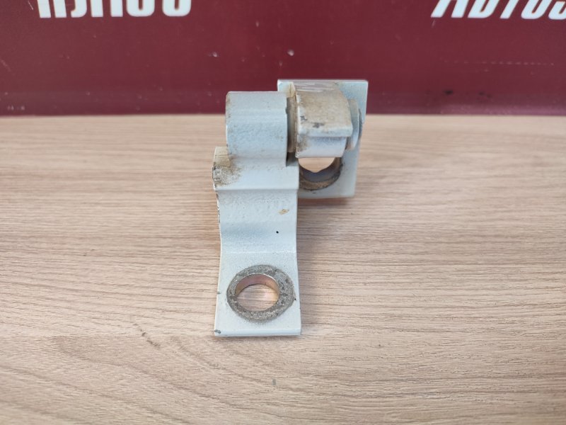 Петля двери