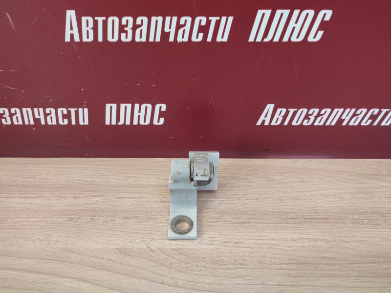 Петля двери