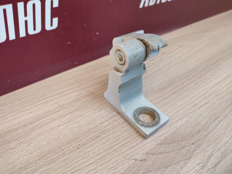 Петля двери