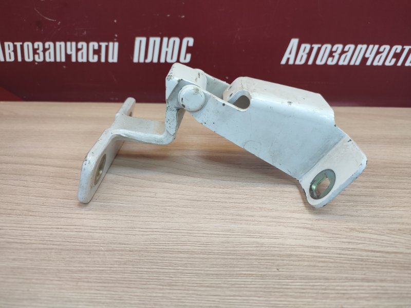 Петля багажника