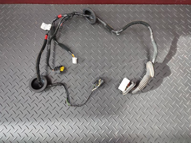 Проводка двери