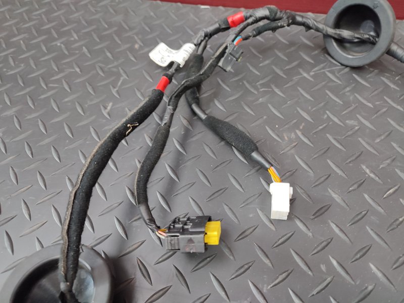 Проводка двери