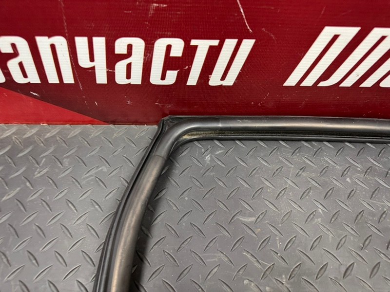Уплотнитель стекла      двери