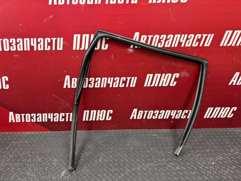 Уплотнитель стекла      двери