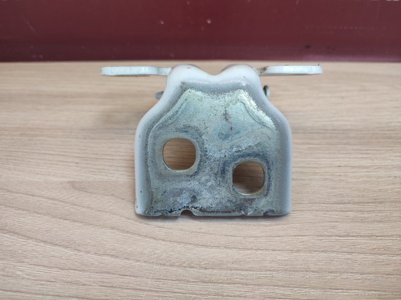 Петля двери