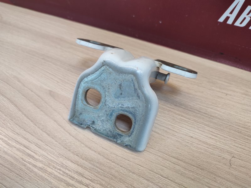 Петля двери