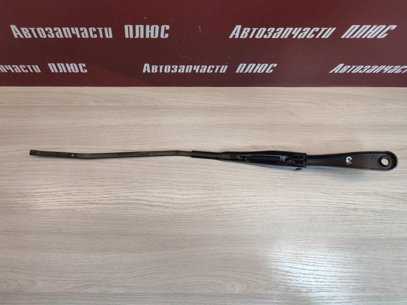 Поводок   дворника