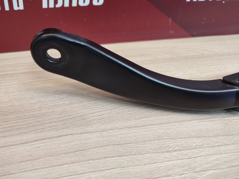 Поводок   дворника