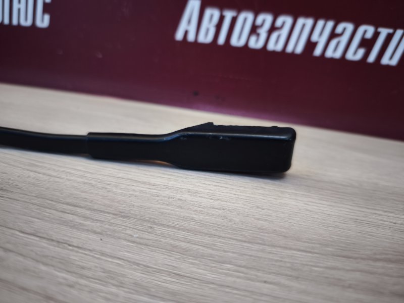 Поводок   дворника