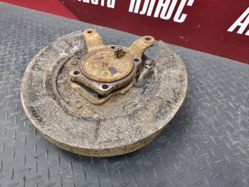 Кулак в сборе