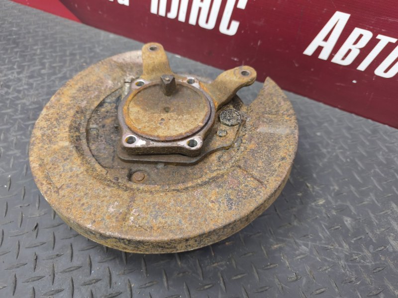 Кулак в сборе