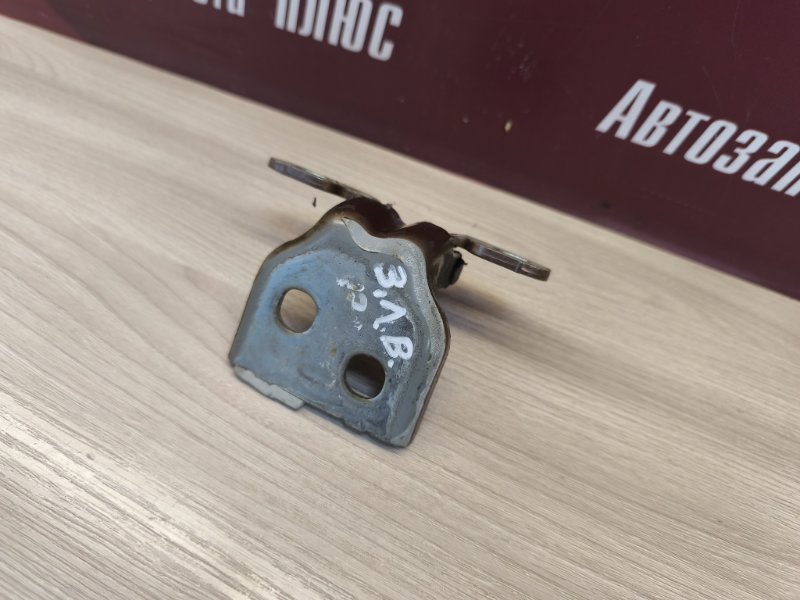 Петля двери