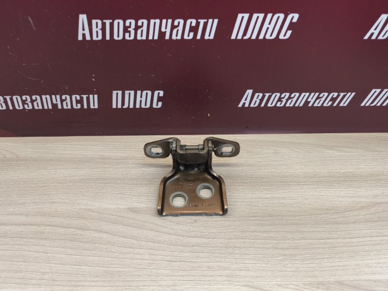 Петля двери