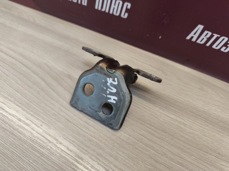 Петля двери