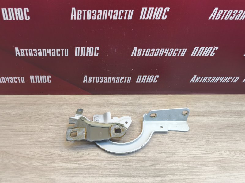 Петля капота