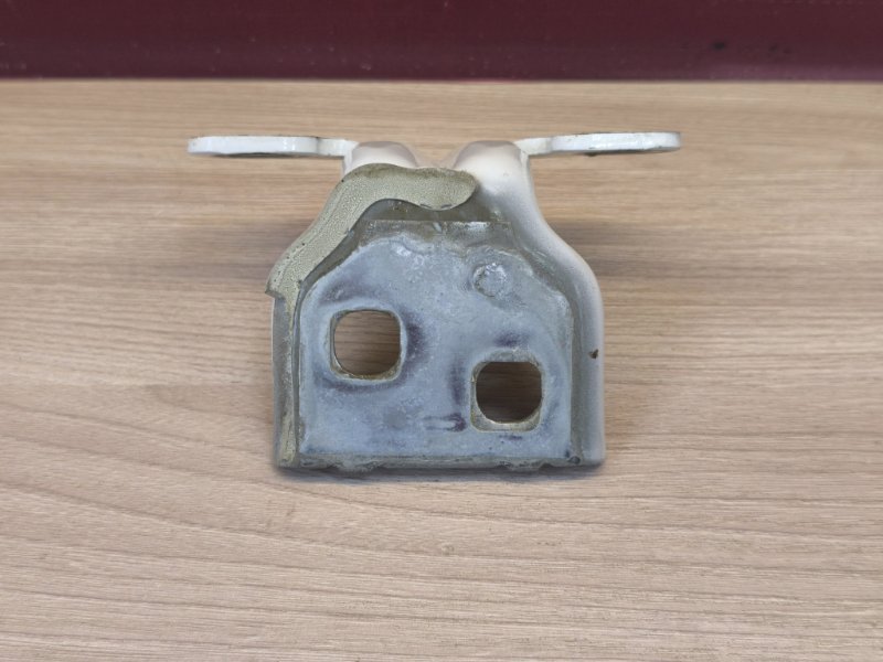 Петля двери