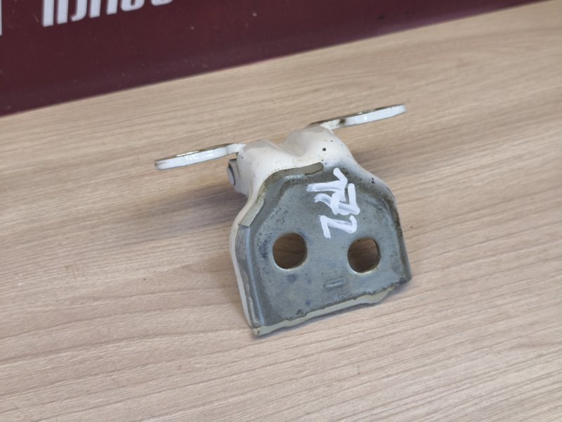 Петля двери