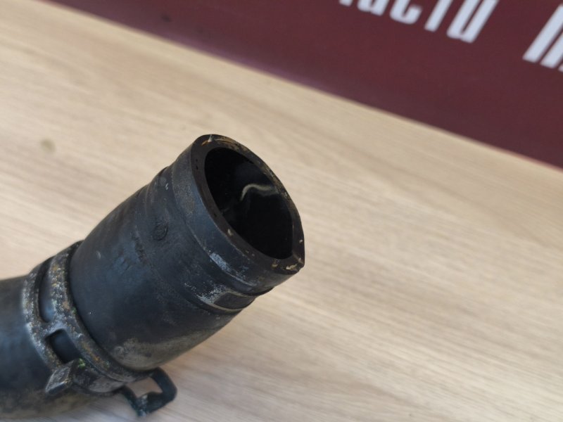 Патрубок радиатора нижний