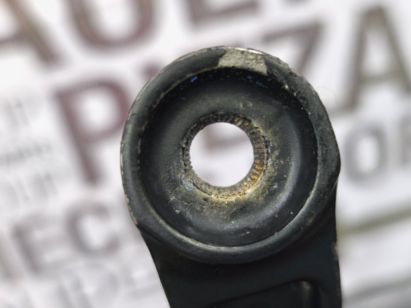 Поводок   дворника