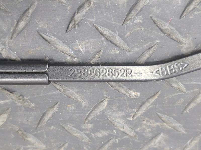 Поводок   дворника