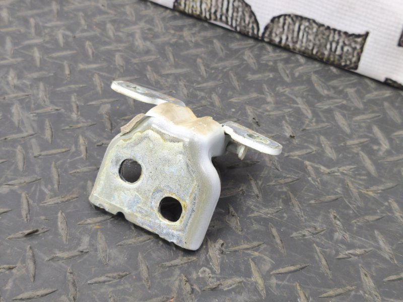 Петля двери