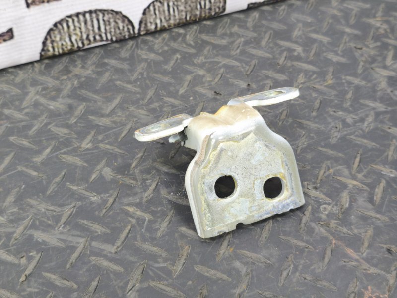 Петля двери