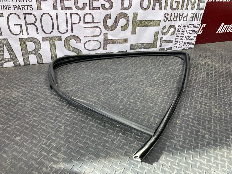 Уплотнитель стекла      двери