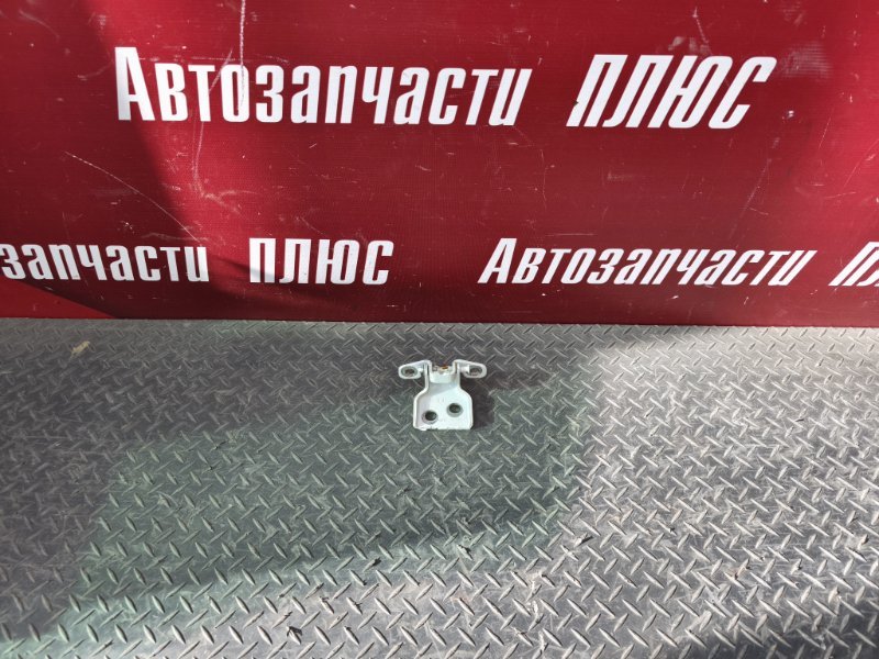 Петля двери