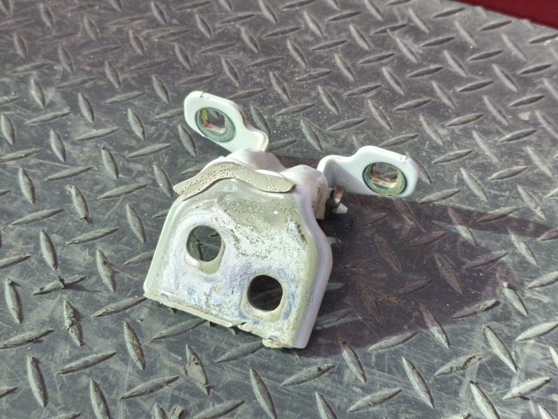 Петля двери