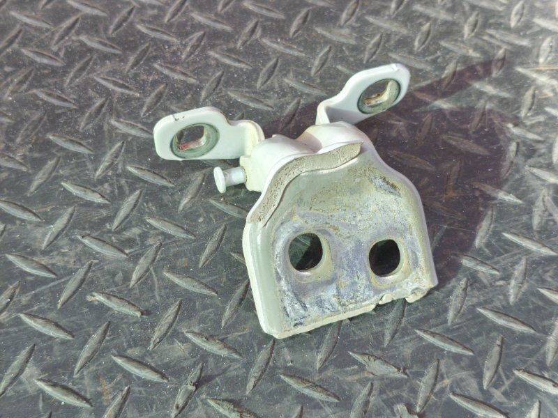 Петля двери