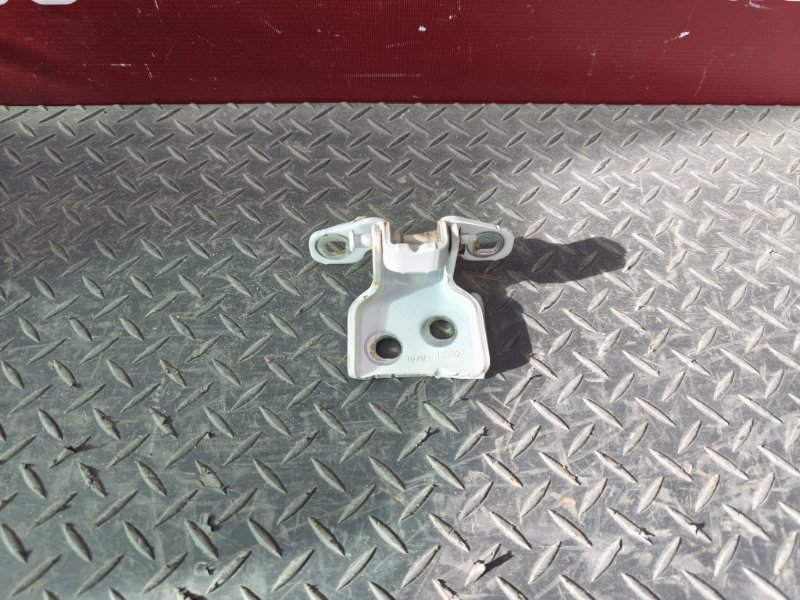 Петля двери