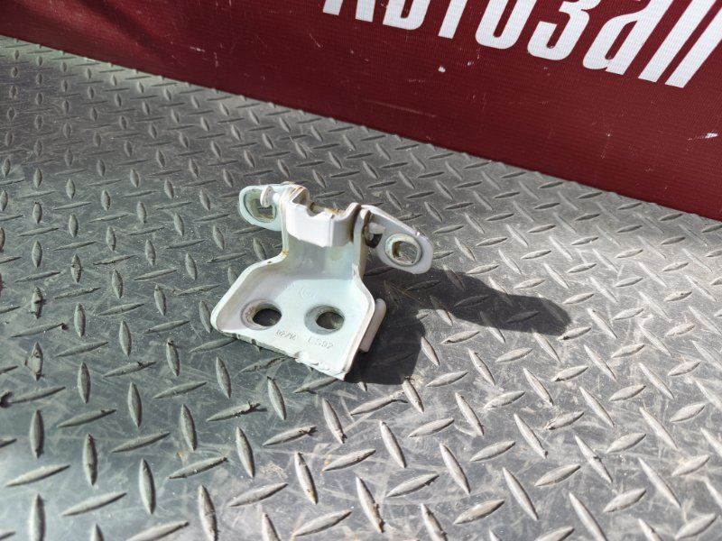 Петля двери