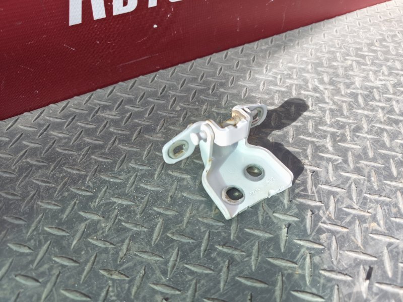 Петля двери