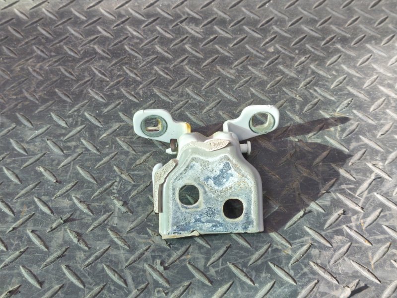 Петля двери