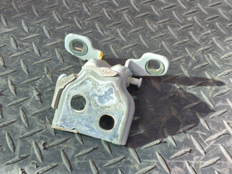 Петля двери