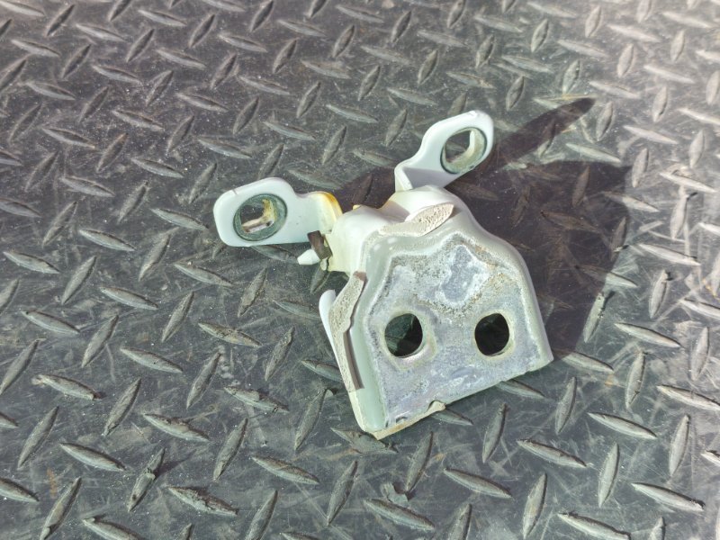 Петля двери