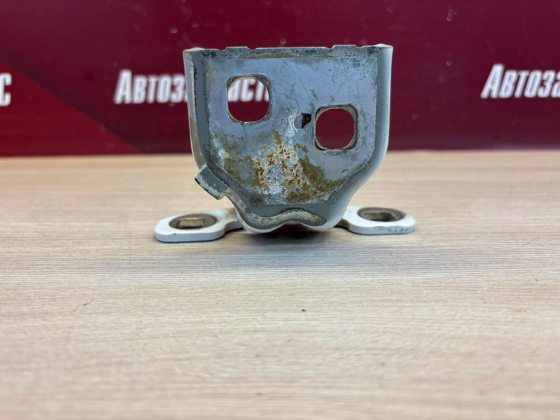 Петля двери