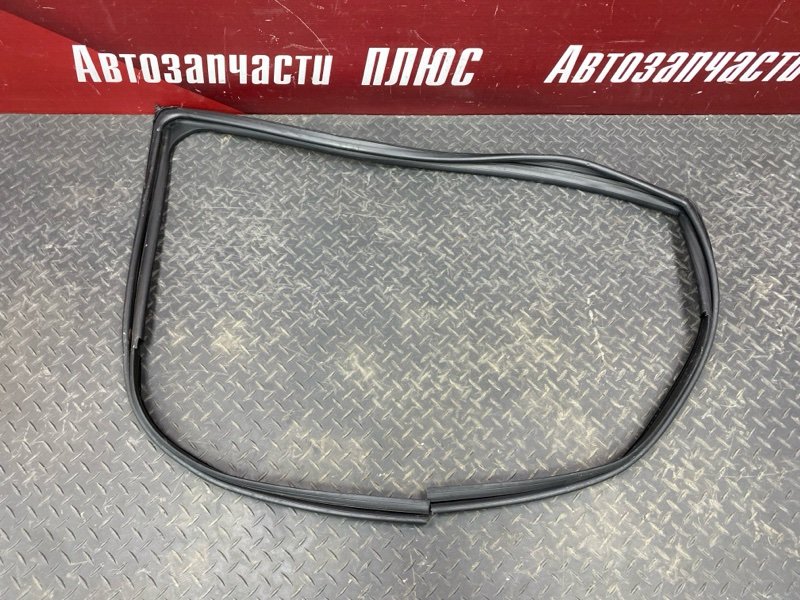 Уплотнитель стекла    двери