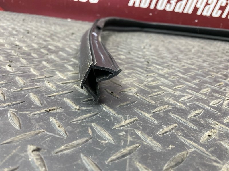 Уплотнитель стекла      двери