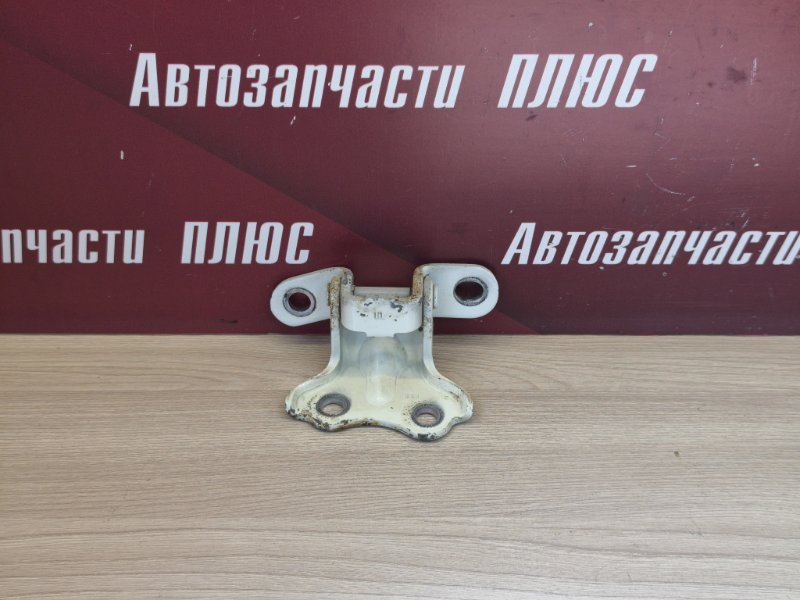 Петля двери