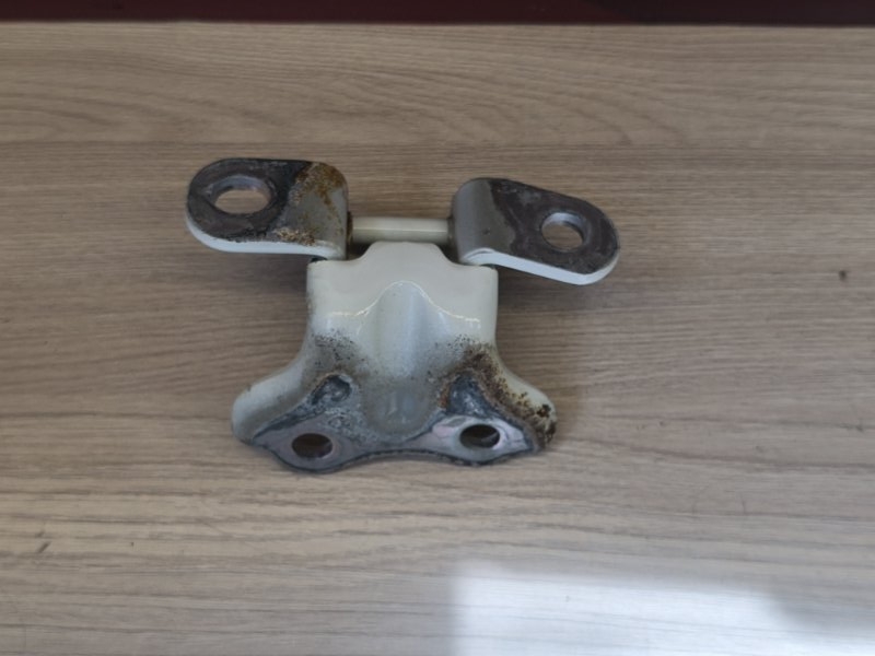 Петля двери