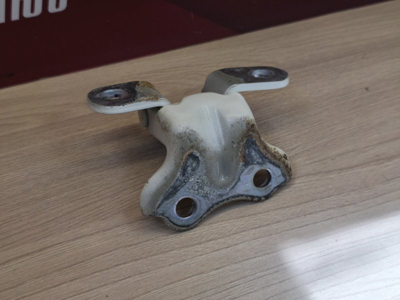 Петля двери