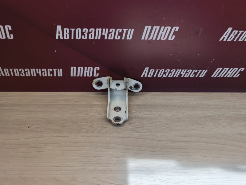 Петля двери